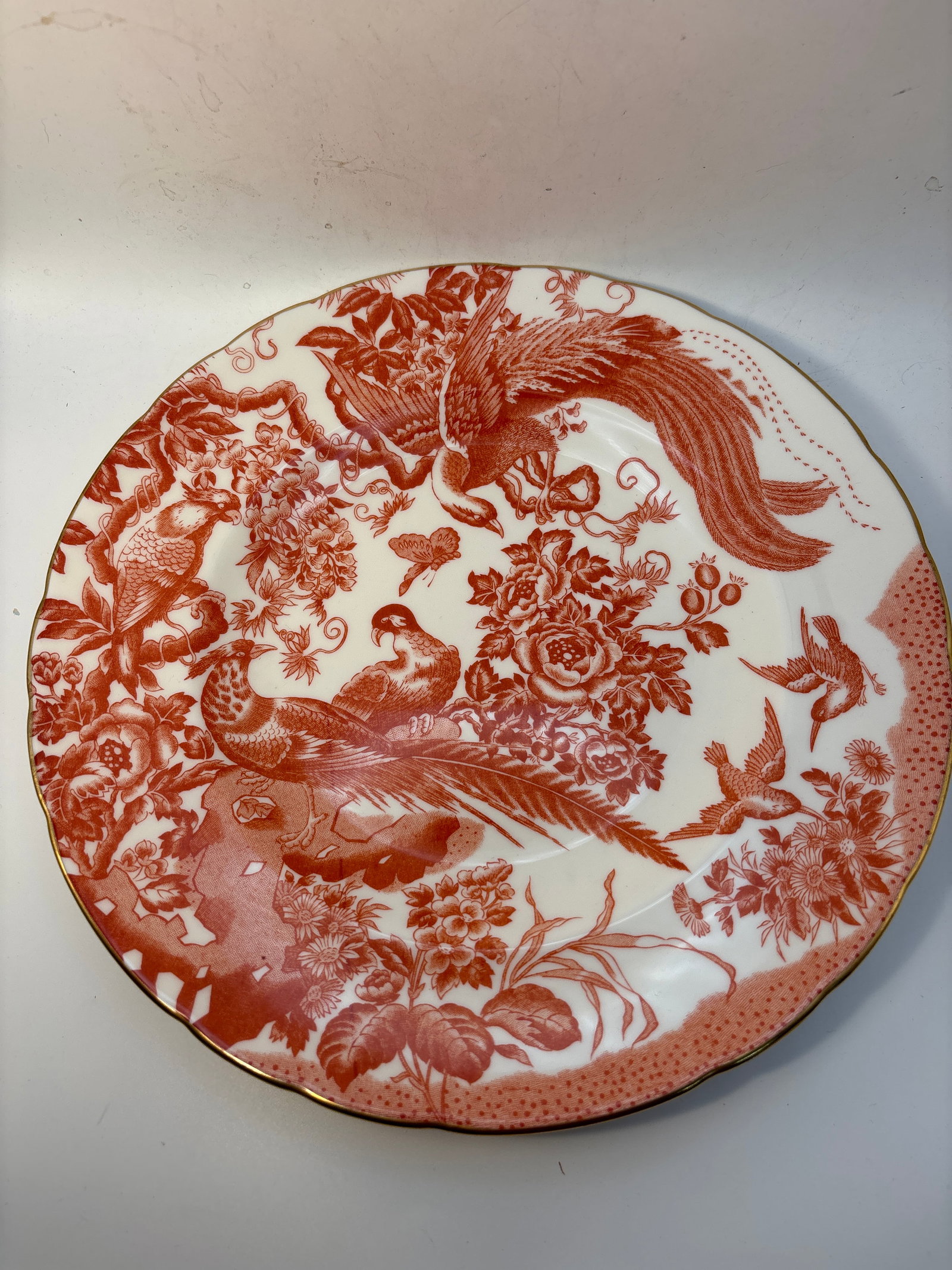 Royal Crown Derby ‘Red Aves’ A.74 pattern dinner plate , 10&1/2 inch diameter: Royal Crown Derby “Red Aves” A.74 pattern dinner plate10&1/2” (27cm)diameter.Seconds.Very good condition with no chips, cracks, lines,etc