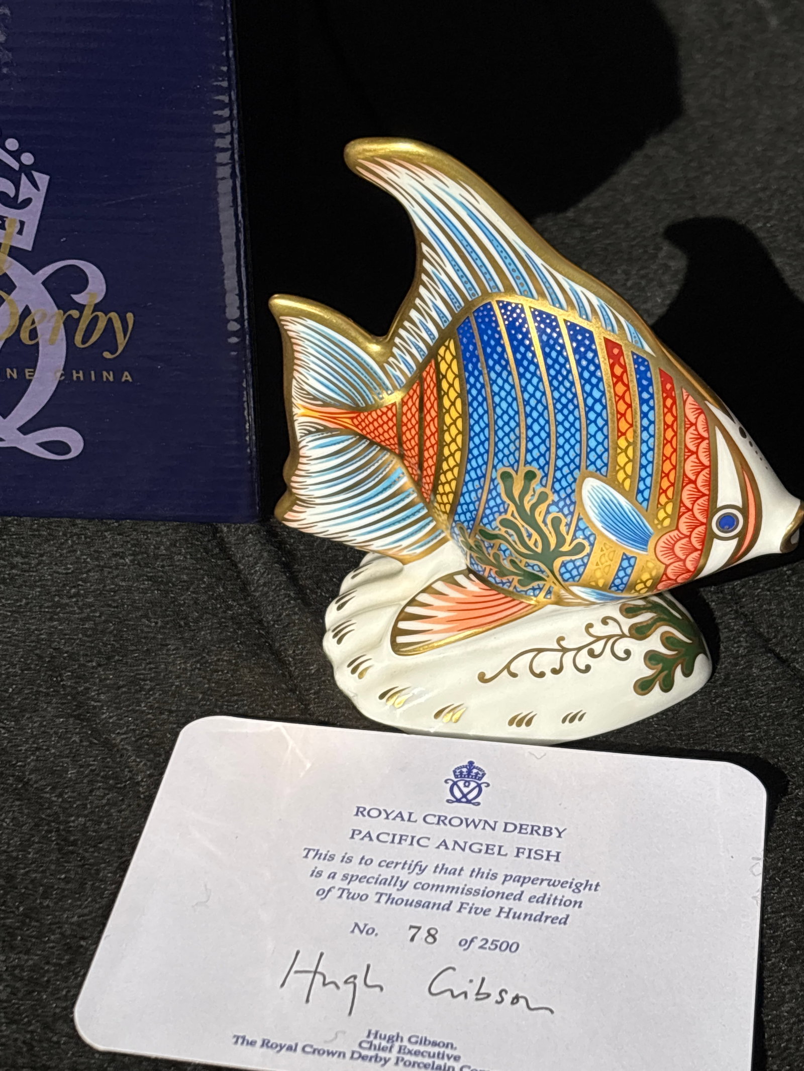 2003 Exclusive Edition Tropical Fish ‘Pacific Angel Fish’ Royal Crown Derby 4inch paperweight: 2003 Exclusive Edition Tropical Fish ‘Pacific Angel Fish’ Royal Crown Derby 4inch paperweight.Original box. Gold stopper, in excellent condition