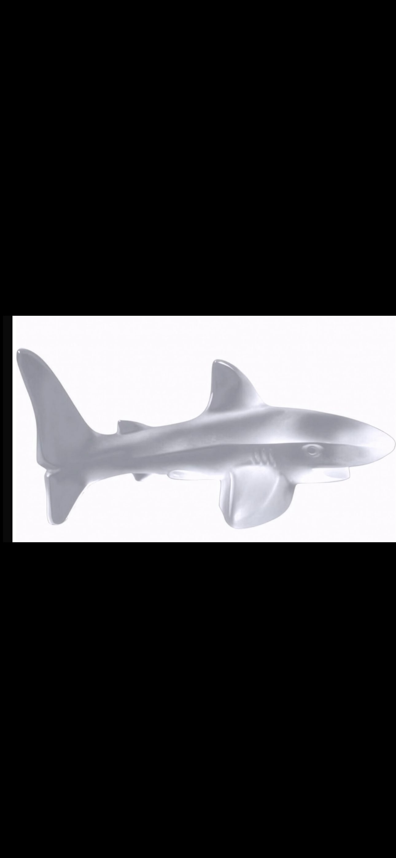 New Lalique French crystal 5 inch Shark form sculpture in box (1 of 3)