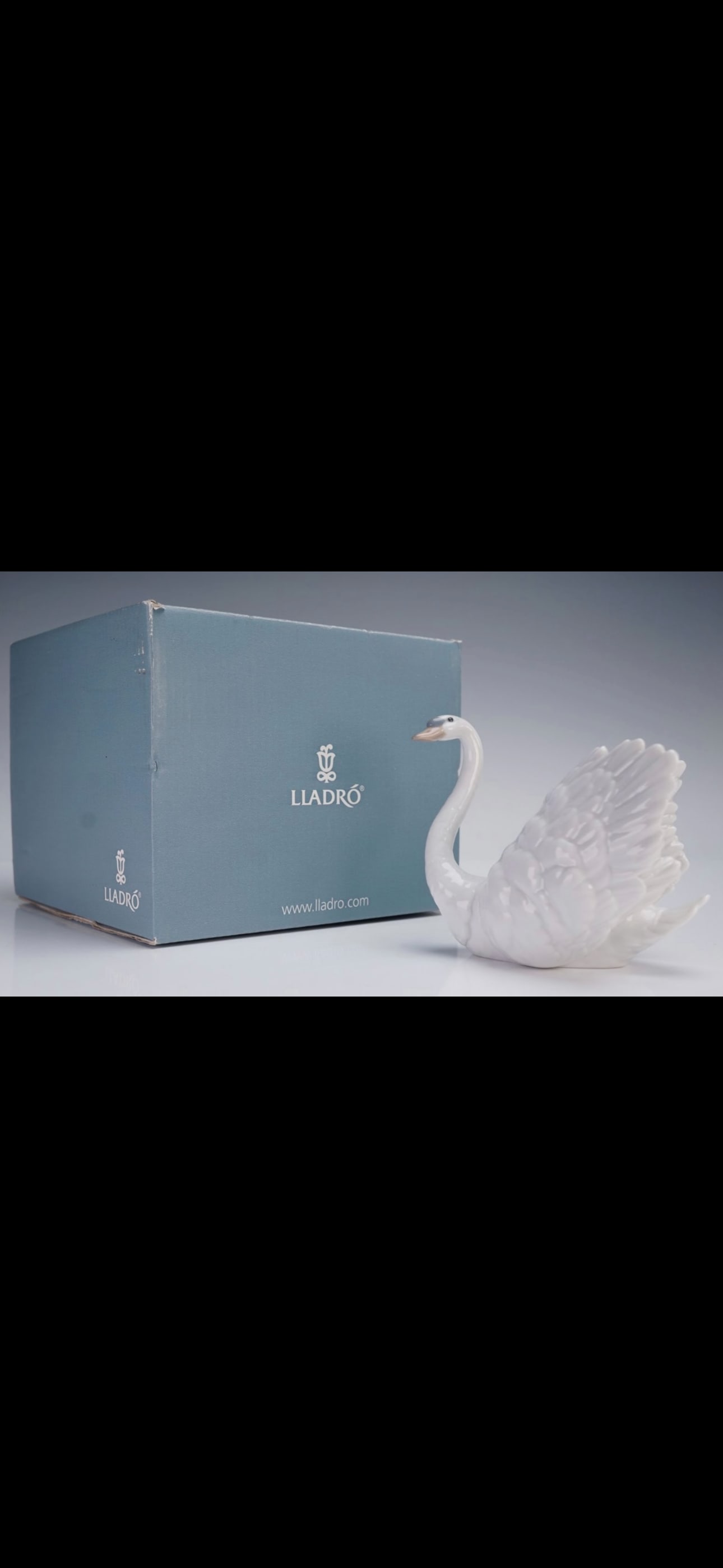 Lladro "Swan with Wings Spread" model number (5231) 10.6 inch wide sculpture: "Swan with Wings Spread" model number 5231, in a white glossy finish with its original box. Very good condition. No chips, cracks, etc.