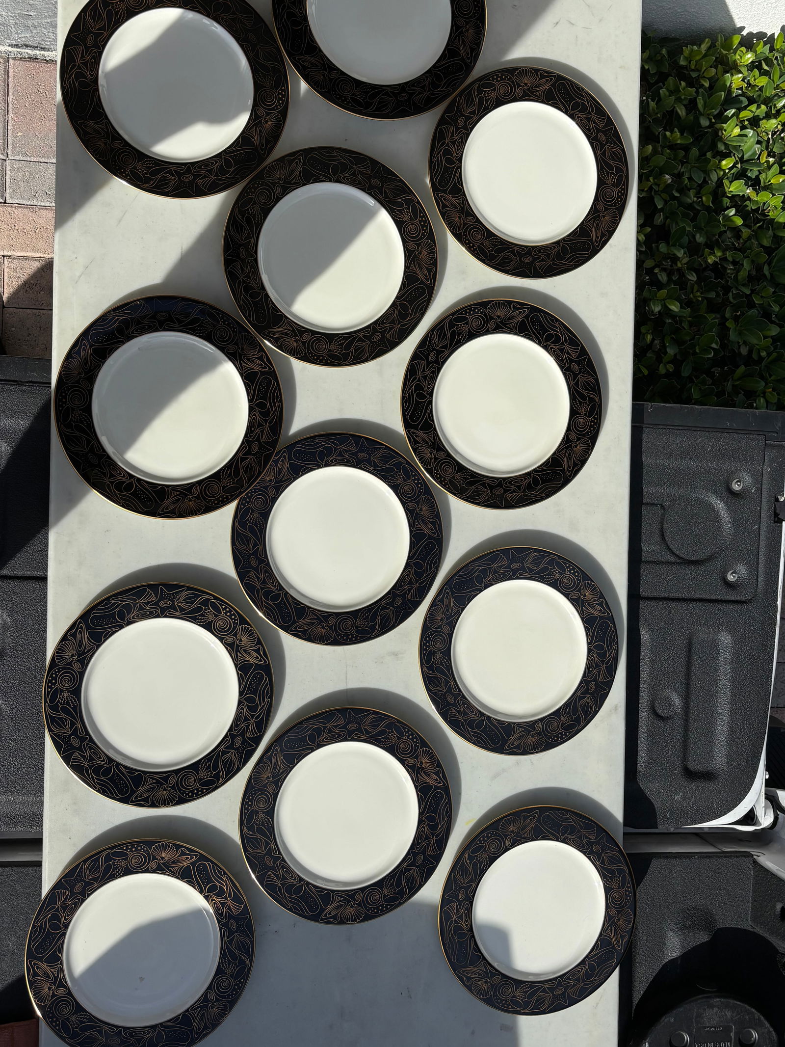 Wonderful set of 12 Castleton Studios ‘Lacoste’ pattern 10&3/4 inch plates: Wonderful set of 12 Castleton Studios ‘Lacoste’ pattern 10&3/4 inch plates .Lovely gold outlined seashells on black border. Very good condition. No chips, cracks, etc.