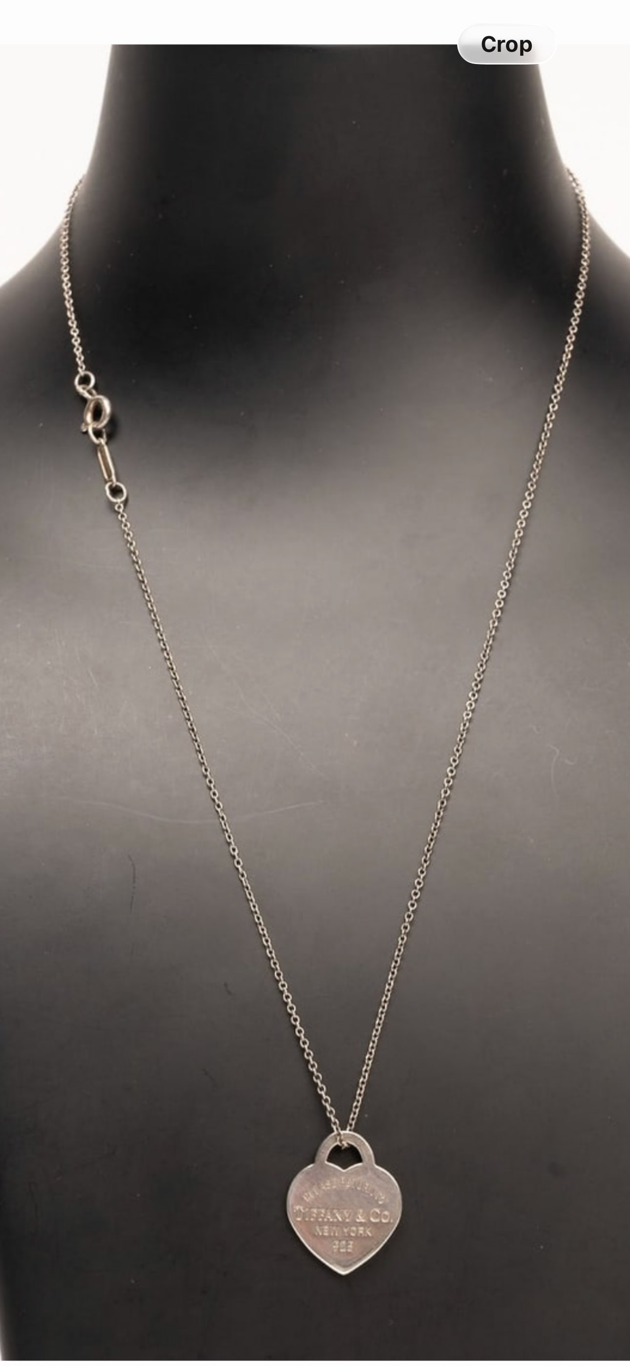 Tiffany Sterling neck (1 of 4)