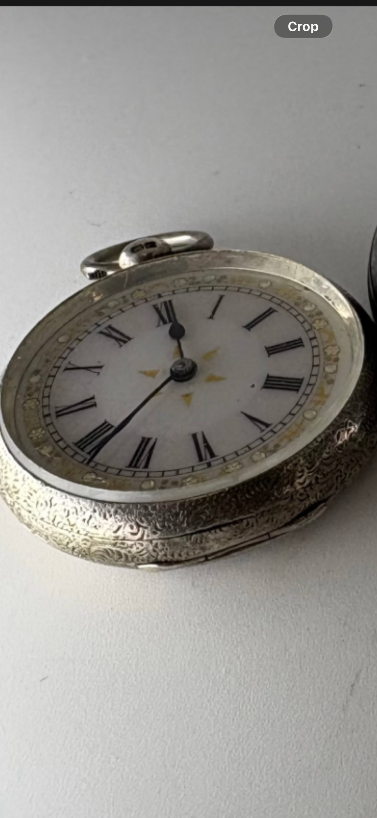 Victorian pocket watch London 1884, continental 935 grade (1 of 1)
