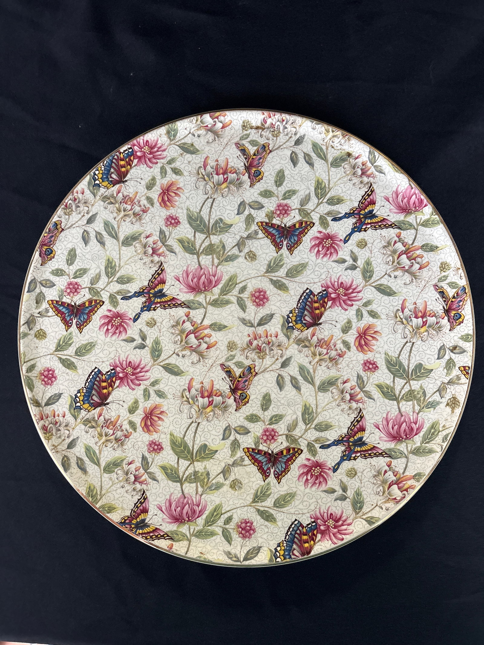 Big 11 inch vintage ceramic platter 1950s Royal Tudor Ware "Lorna Doone" Botanical Butterflies (1 of 6)