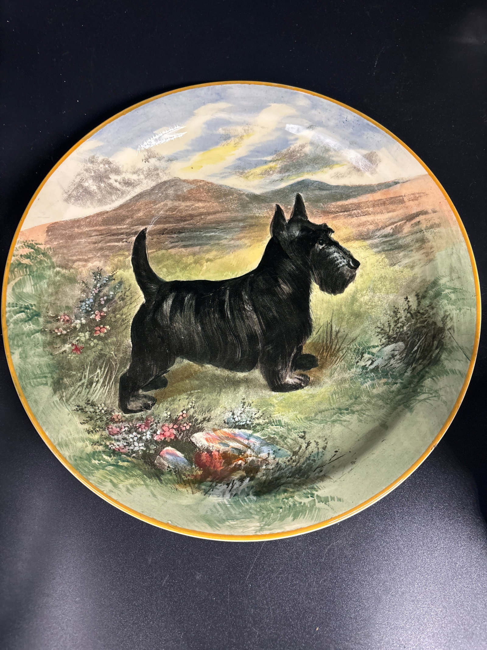 vintage Royal Doulton Seriesware ‘Scottish Terrier’ rack plate, model D5386A (1 of 6)