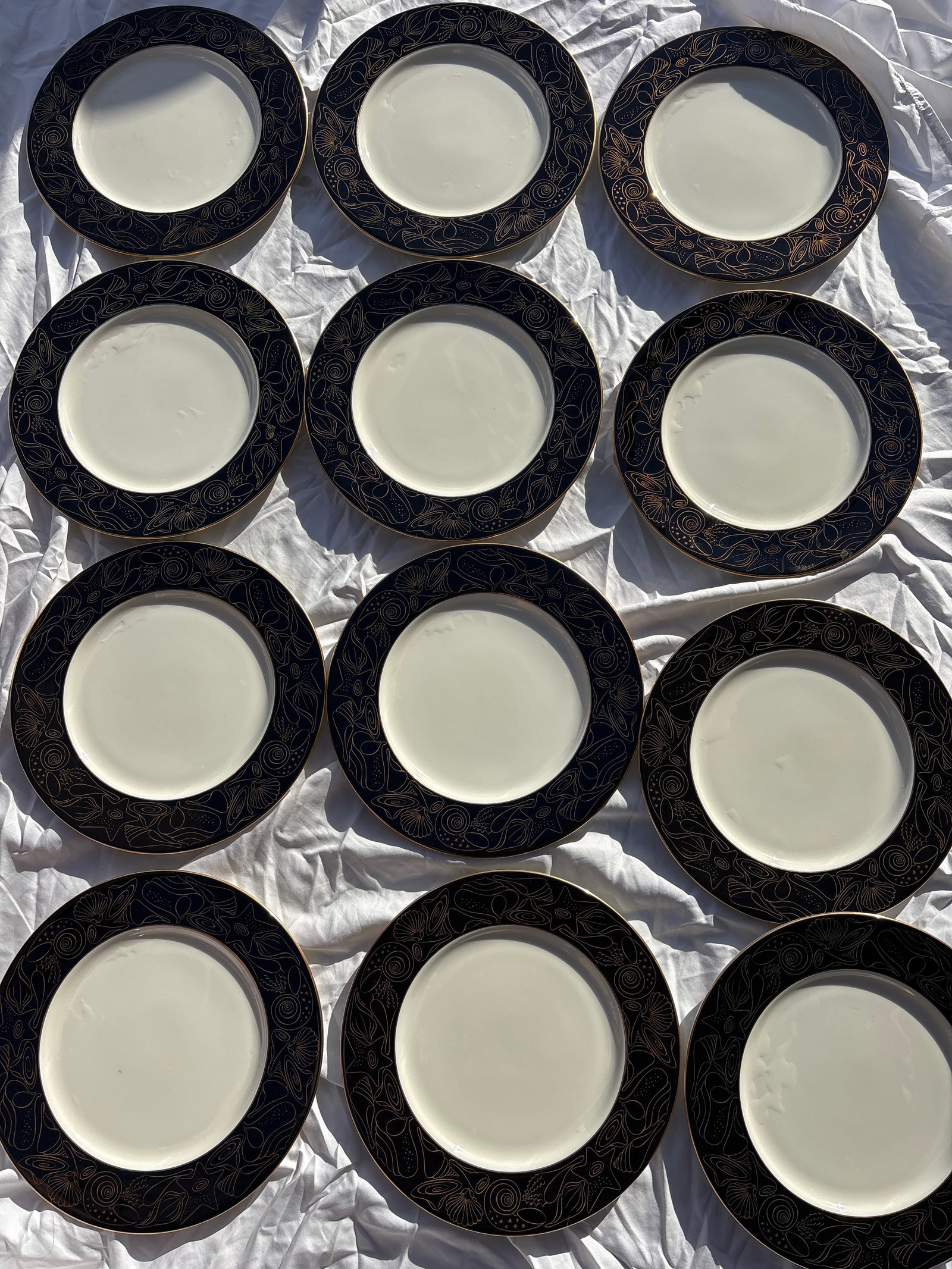 11 inch Set of twelve Castleton Lacoste starfish & shells on a deep black border plates (1 of 7)