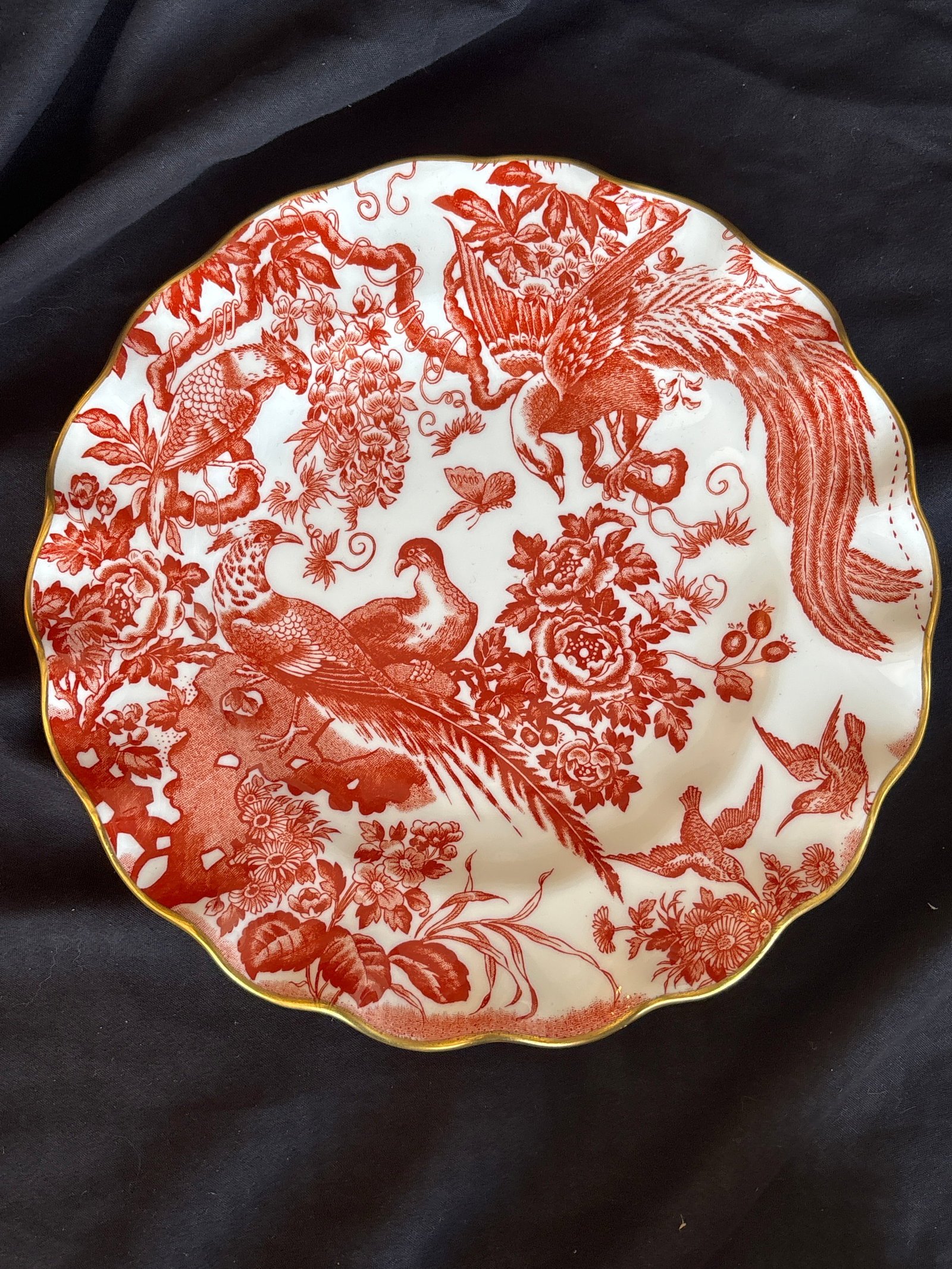 Wavy edge Royal Crown Derby "Red Aves" collection 8&1/2 inch plate: Wavy edge Royal Crown Derby "Red Aves" collection 8&1/2 inch plate , a classic English bone china pattern. all featuring an intricate design of exotic birds and flora in a vibrant rust-red or orange-r