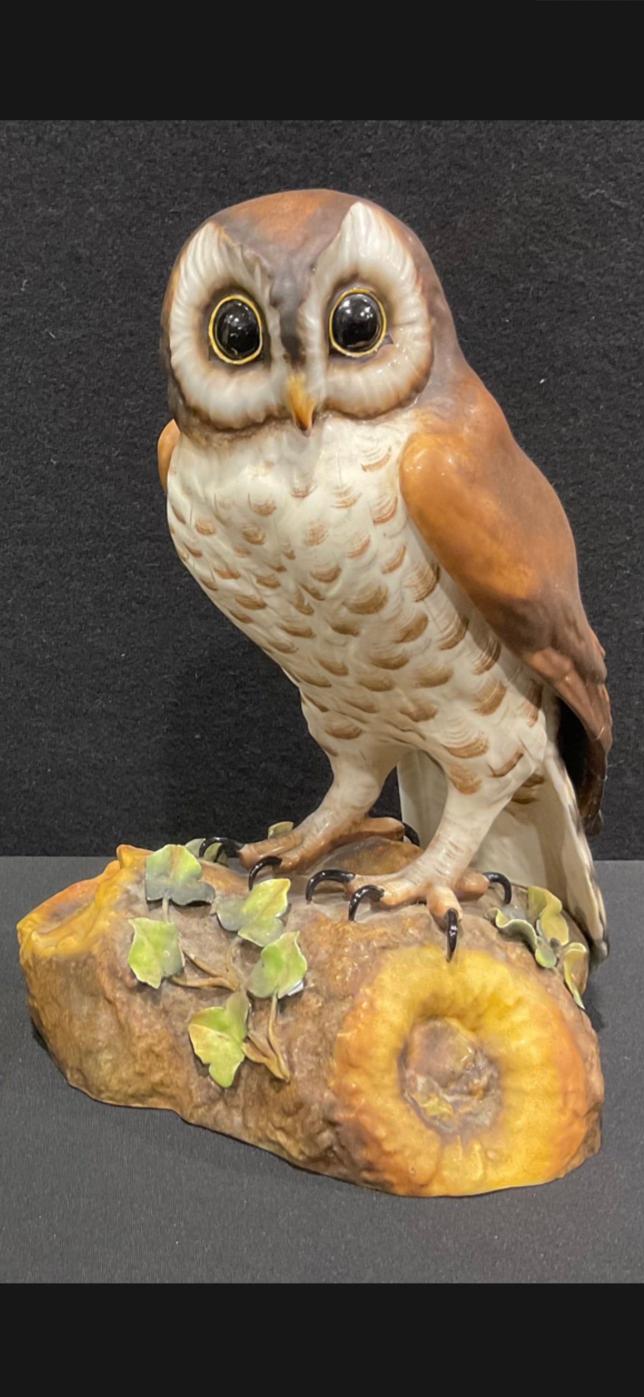 Rare life size Royal Crown Derby Persian ‘Brown Owl’ figurine statue (1 of 4)