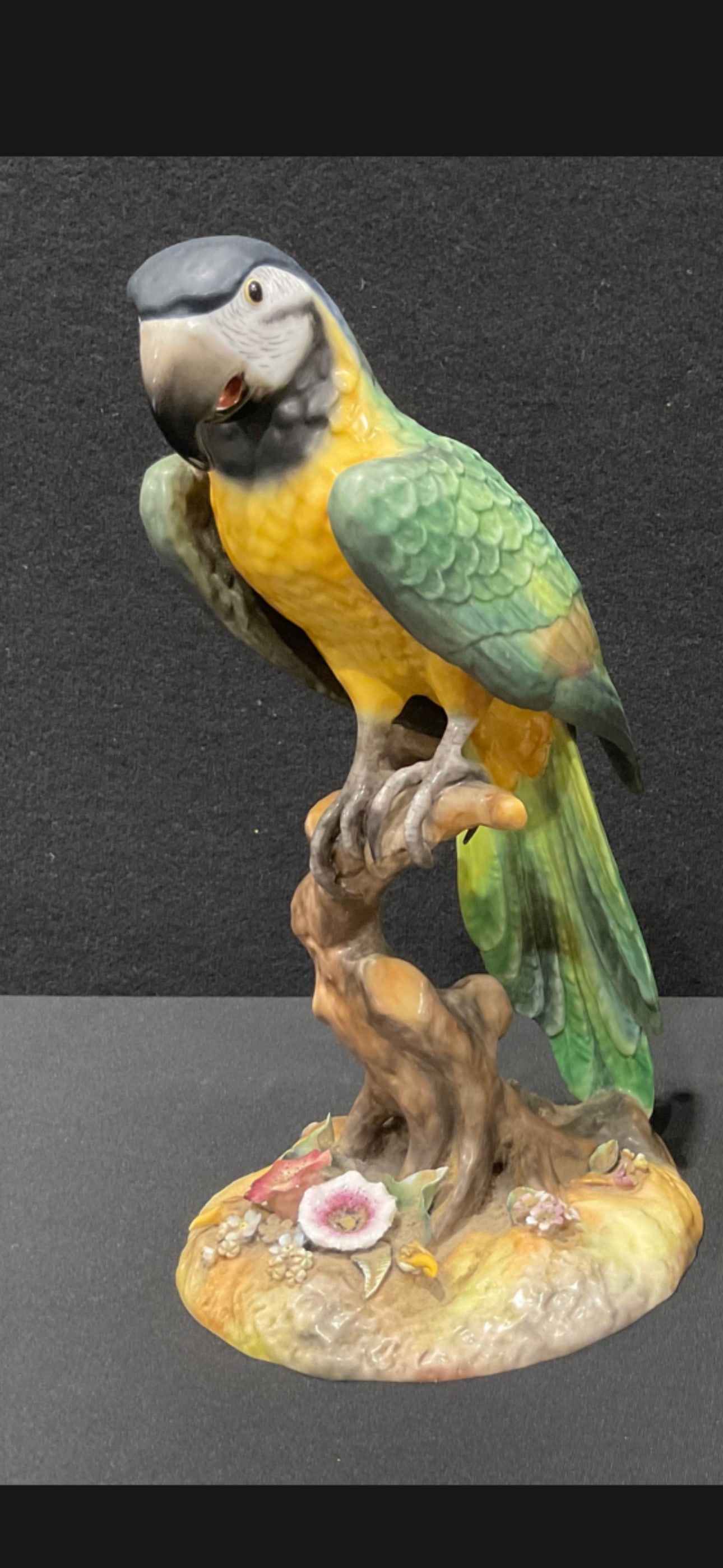 Rare life size hand-painted Royal Crown Derby Macaw figurine statue: Rare life size hand-painted Royal Crown Derby bone china Macaw figurine.Product DetailsManufacturer: Royal Crown DerbyMaterial: Fine Bone ChinaOrigin: EnglandDimensions: Typically stands around 10 to 