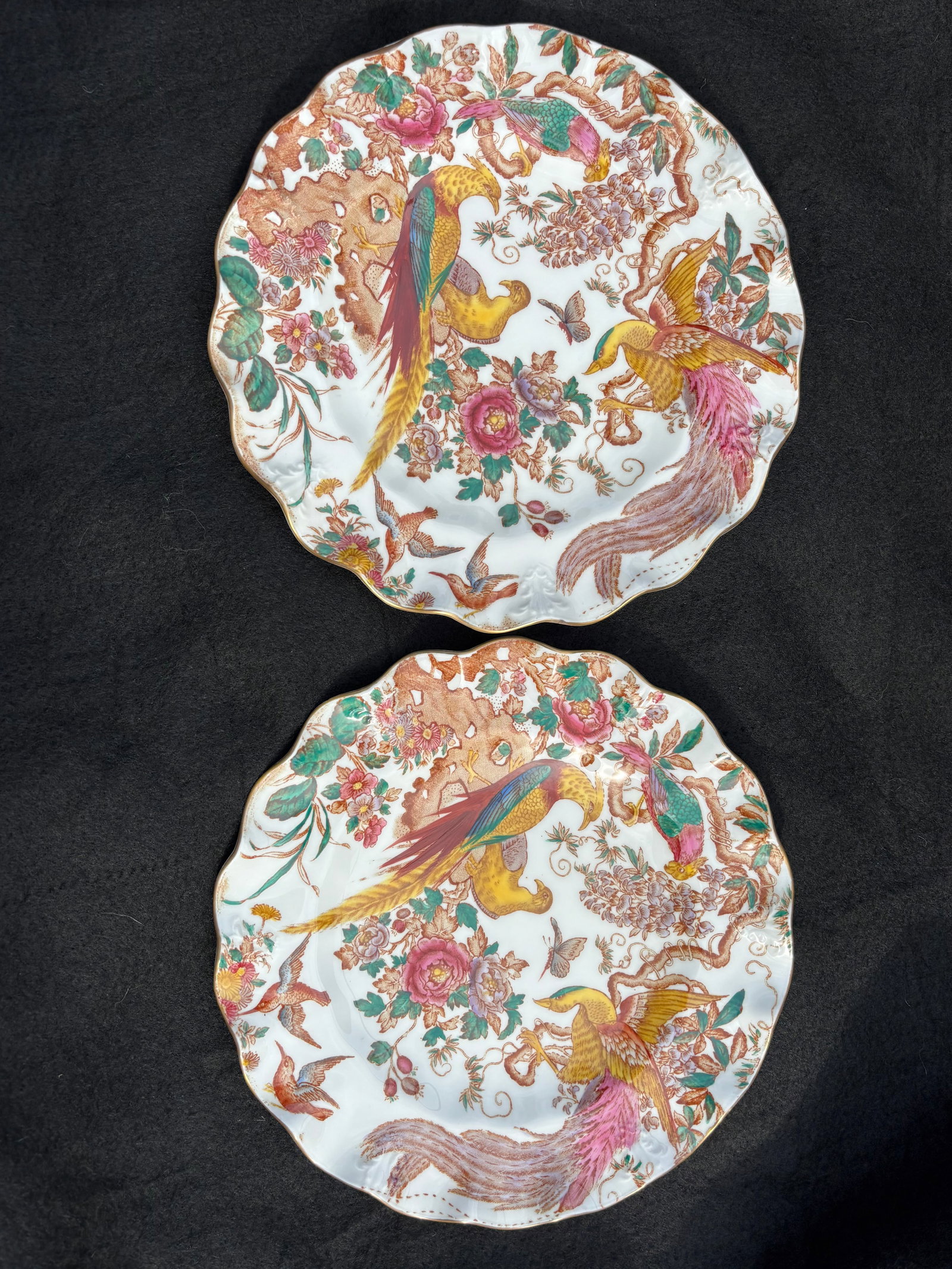 Second Pair wavy edge 1st quality Royal Crown Derby "Olde Avesbury" collection 8&1/2 inch plates: Matches previous lot…Royal Crown Derby "Olde Avesbury" collection. The pattern features a vibrant scene of exotic birds and floral motifs, a design that dates back to 1932. This specific piece is ma