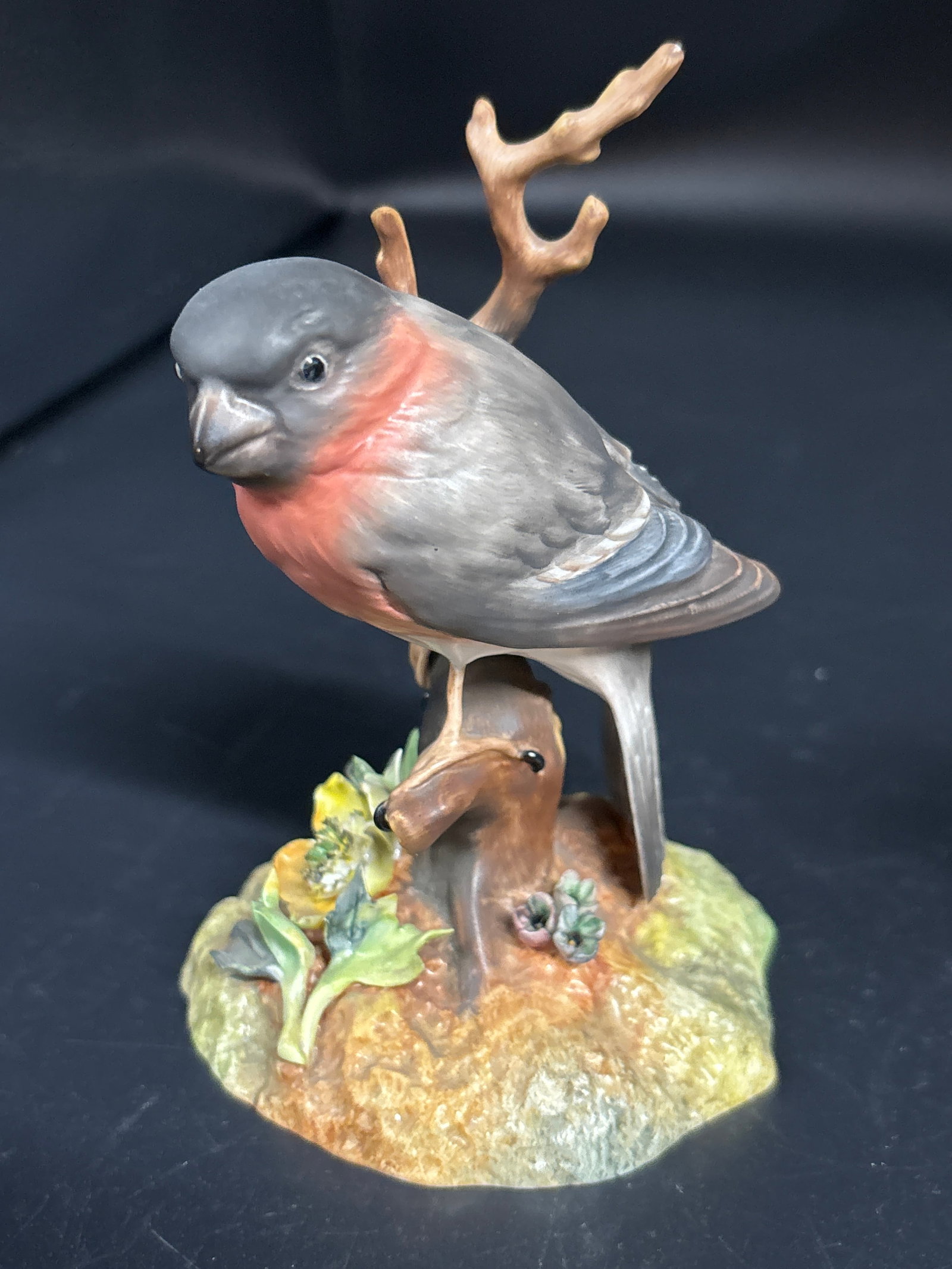Artist signed Royal Crown Derby Bullfinch bone china figurine (1 of 9)