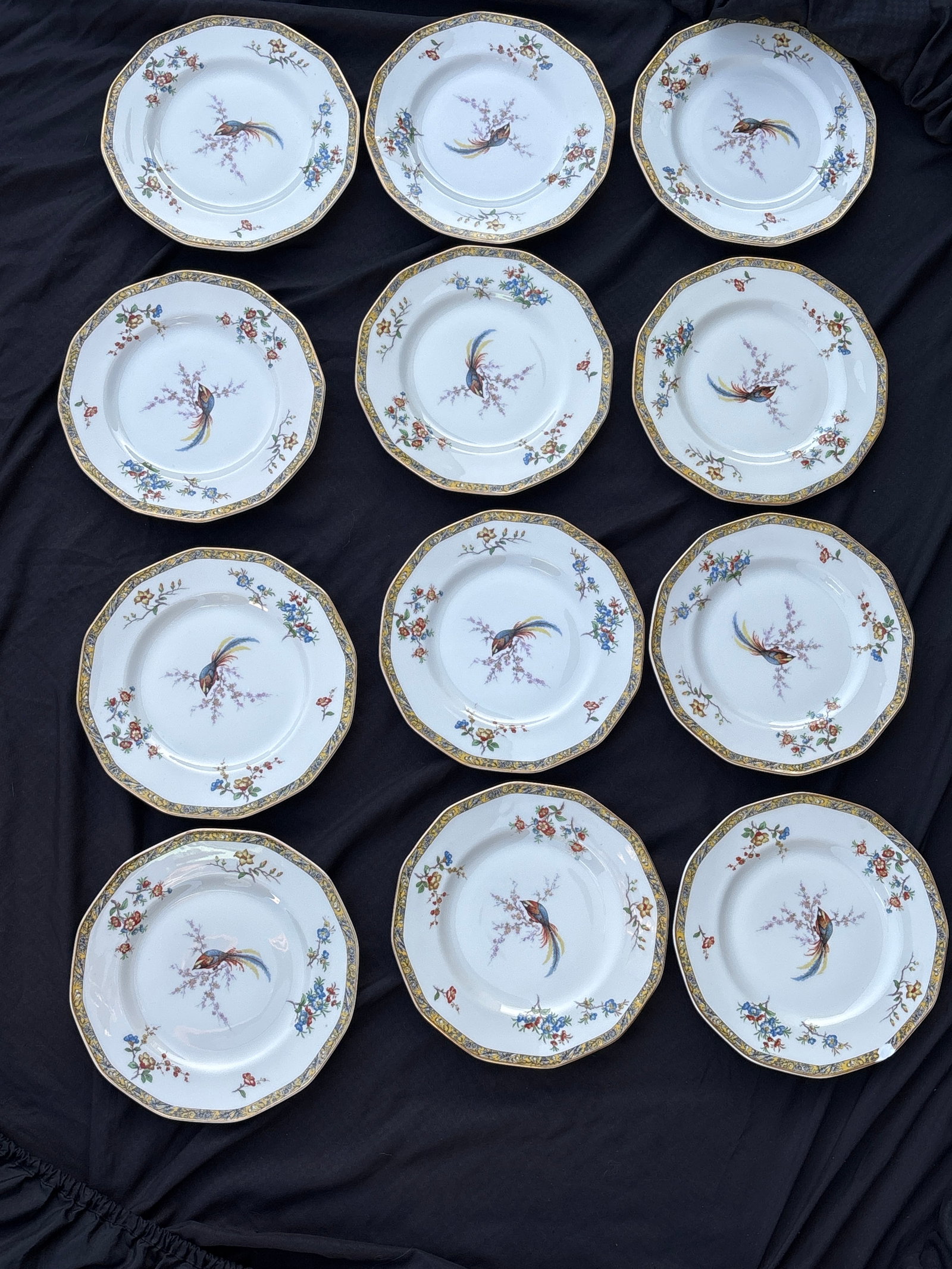 Set of twelve 8&1/2 inch Theodore Haviland Limoges ‘Bamboo’ salad plates: Set of twelve 8&1/2 inch plates Theodore Haviland Limoges salad plate in the Bamboo pattern featuring a centered bird of paradise design and a yellow banded rim.Pattern Details: The pattern is known a