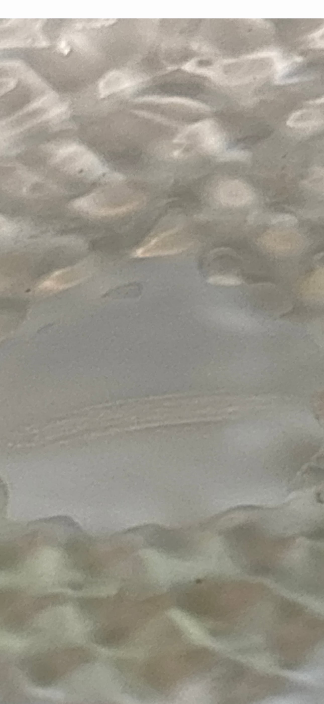 loetz covered jar (1 of 1)