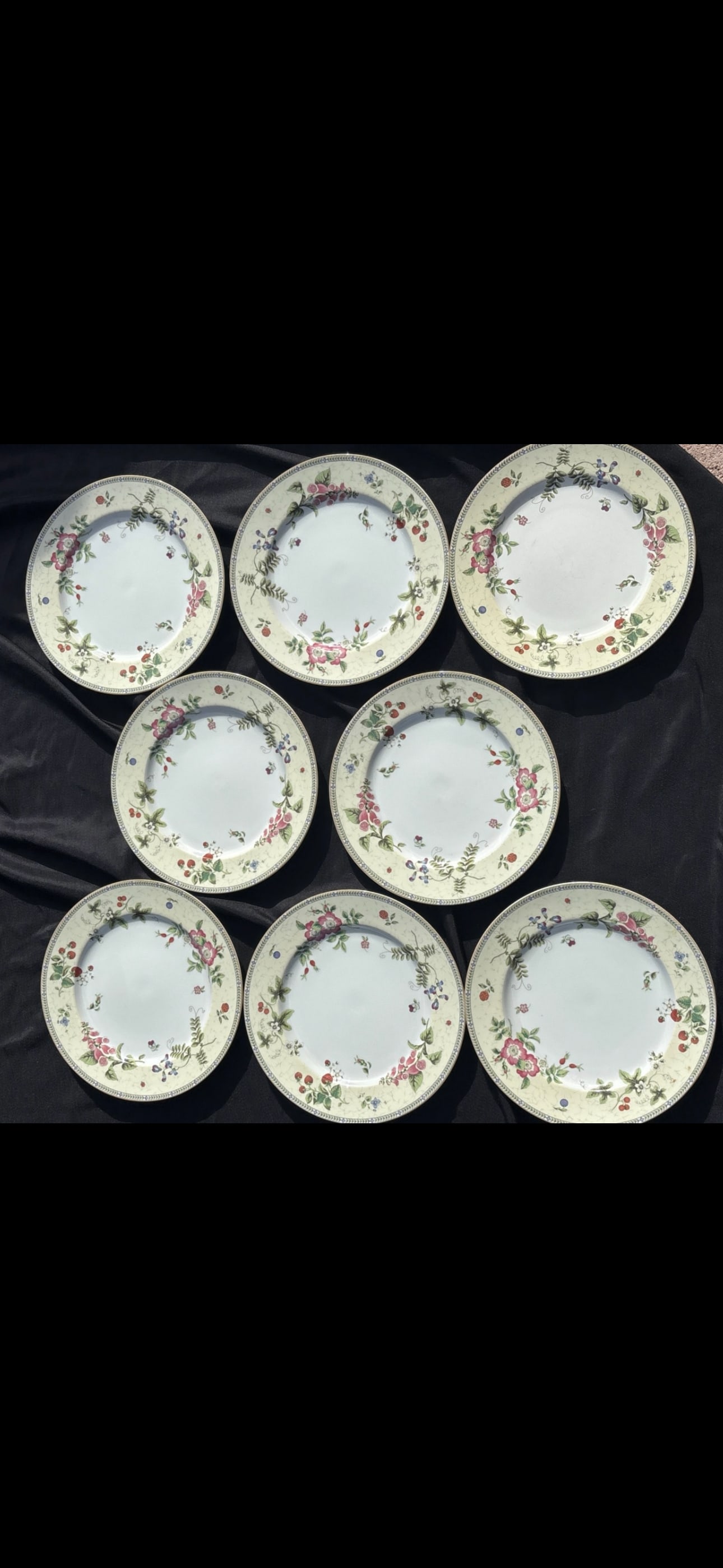 Set of eight 11 inch plates Wedgwood Fleur pattern (1 of 7)