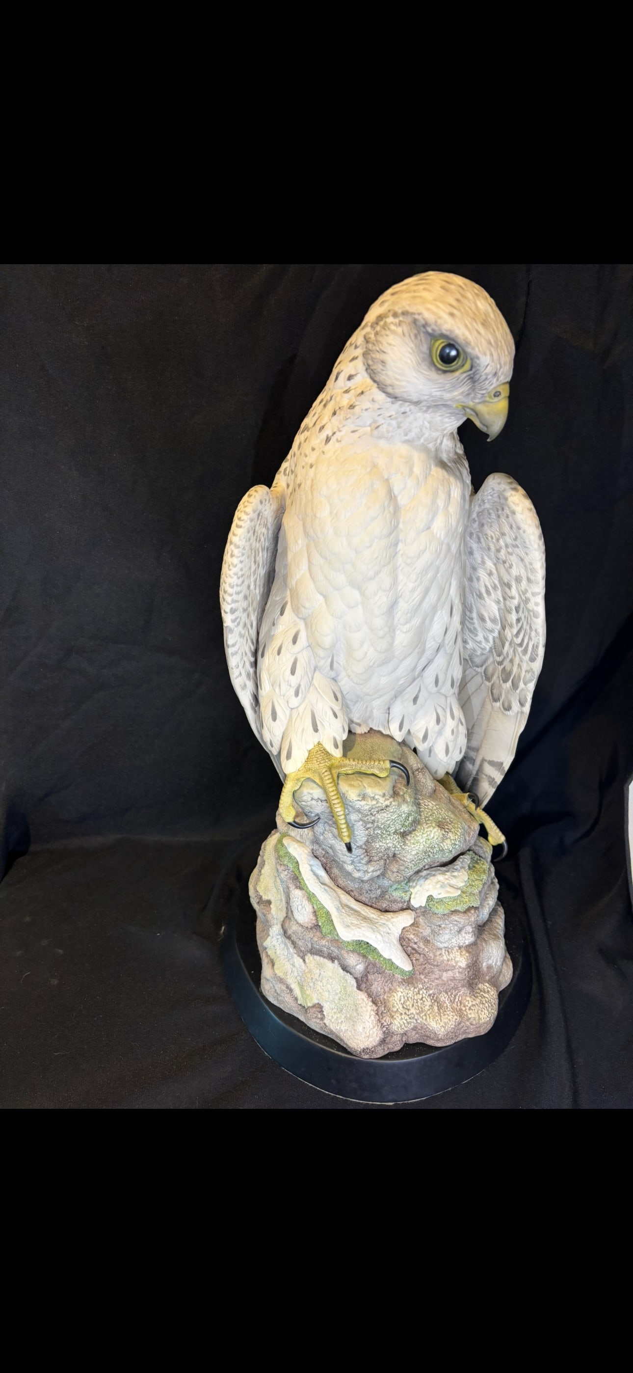 Cybis Gyrfalcon: colored retail version of the Cybis Gyrfalcon represents the pinnacle of the studio’s technical achievement
