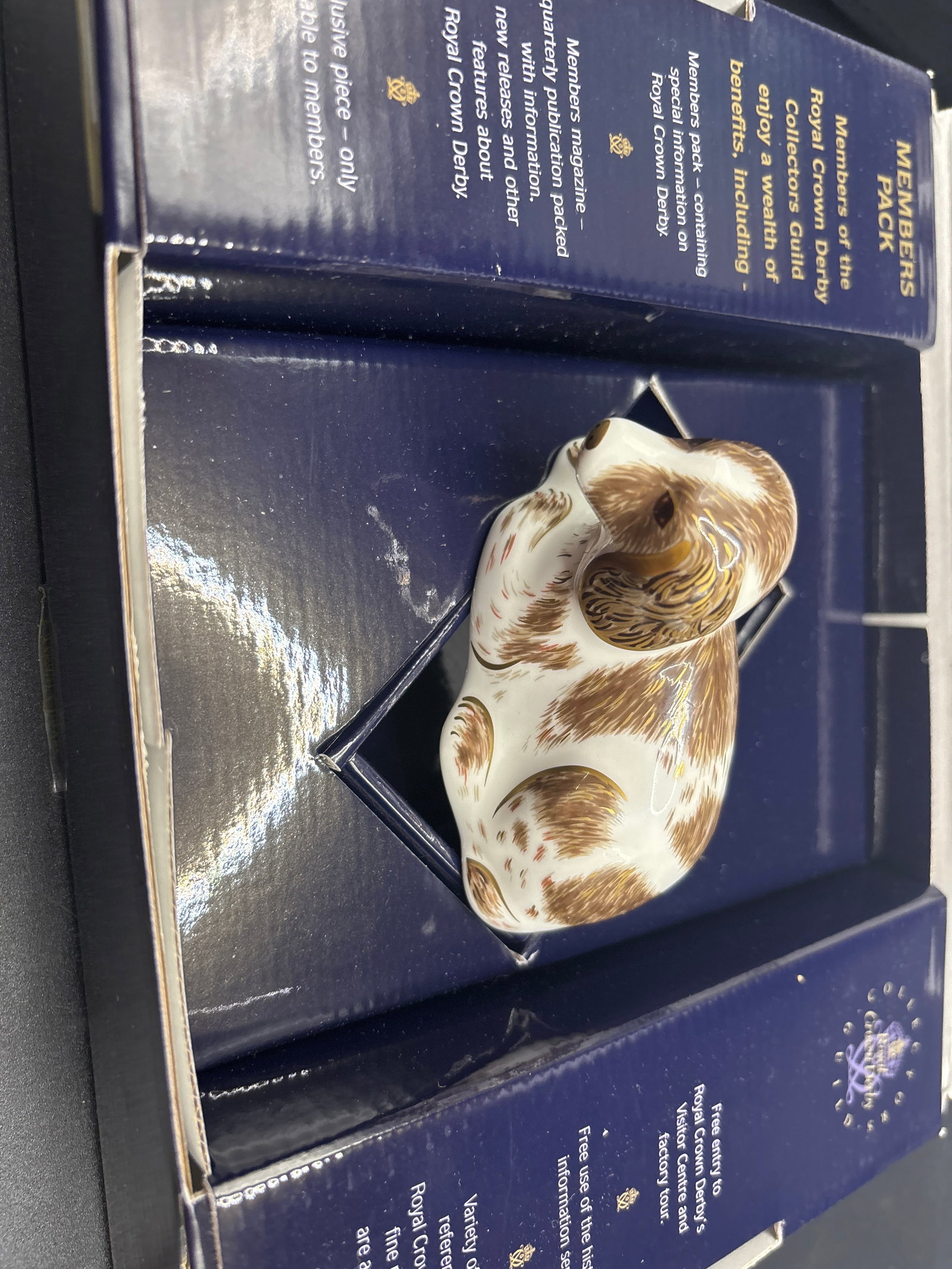 Collectors guild Royal Crown Derby ‘Scruff Puppy’ bone china 4 inch paperweight (1 of 7)