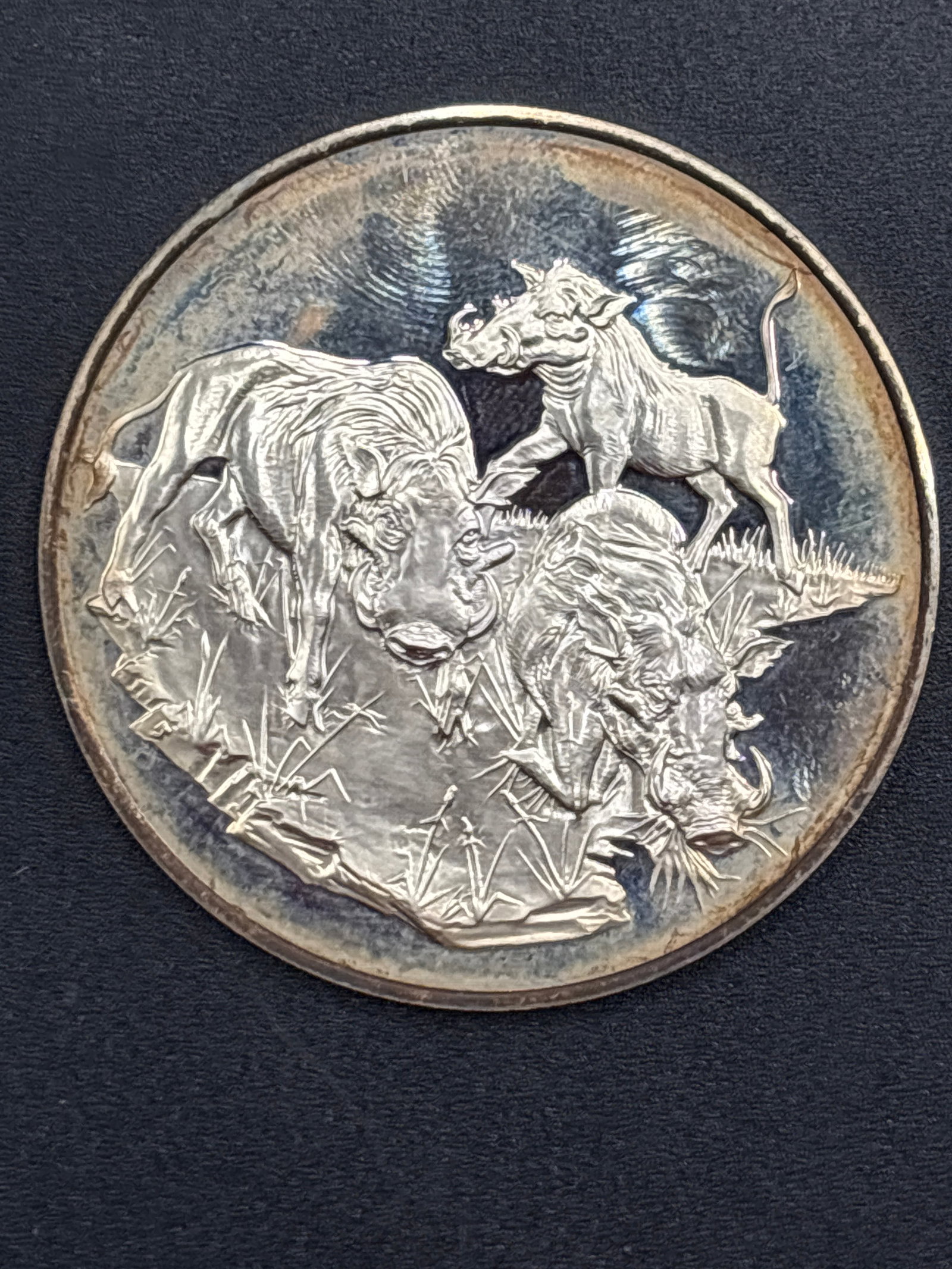 62 grams .925 sterling 1972 East African Wild Life Society "Warthogs": Sterling Silver (.925 Fineness): Weighs approximately 2 troy ounces (62.2 grams).1972 Franklin Mint East African Wild Life Society "Warthogs" Proof Medal.Key Details About the MedalIssuing Mint: Frank