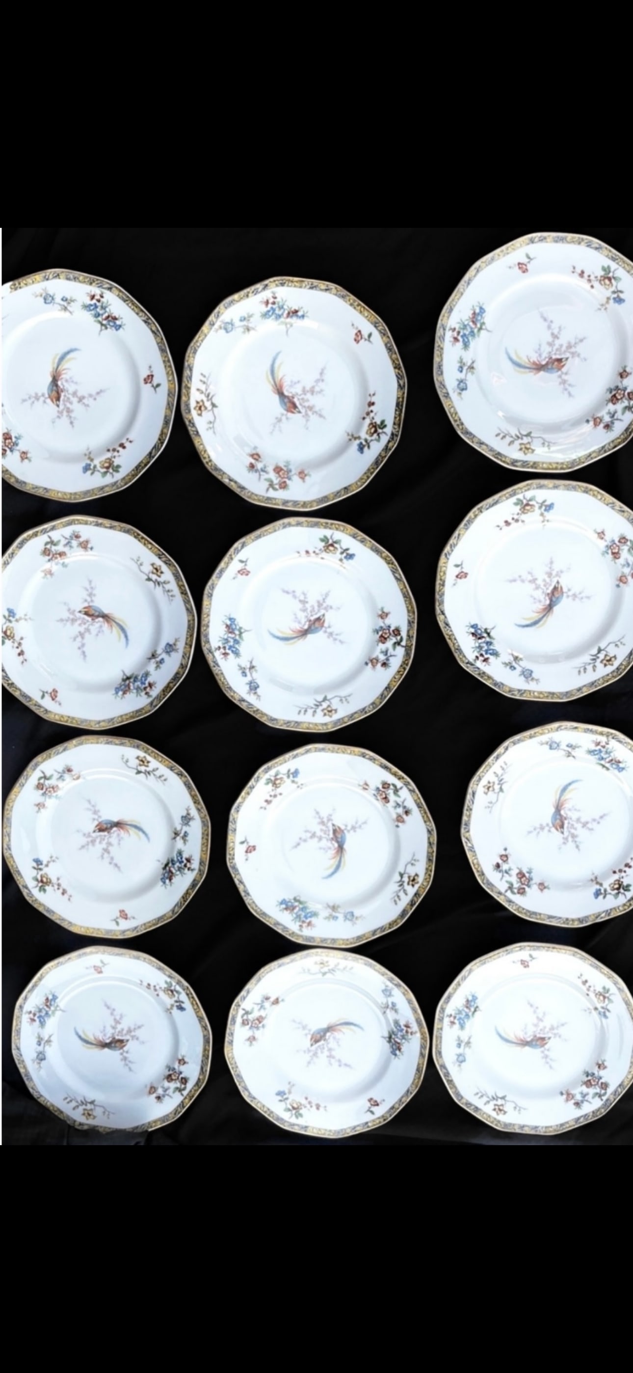 Set of twelve 8&1/2inch plates Theodore Haviland Limoges (1 of 6)