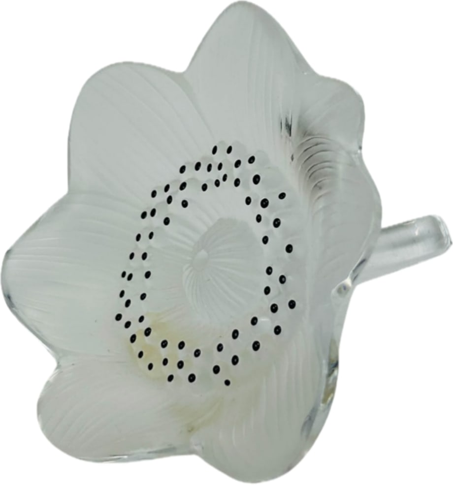 authentic Lalique Anemone Crystal Flower Sculpture: authentic Lalique Anemone Crystal Flower Sculpture, a classic piece of luxury French art glass. Originally designed by René Lalique in 1935, the sculpture depicts an anemone blossom—a traditional s