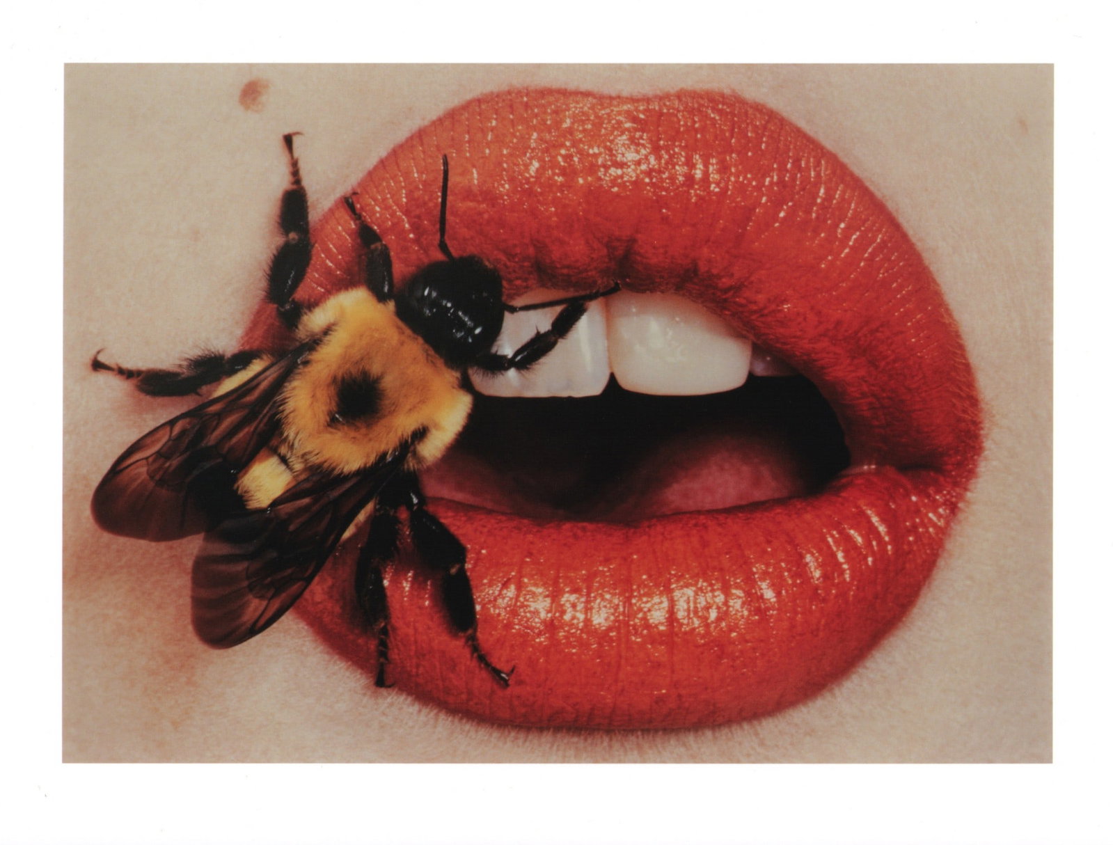 Irving Penn, "Bee, New York", 1995 (1 of 3)