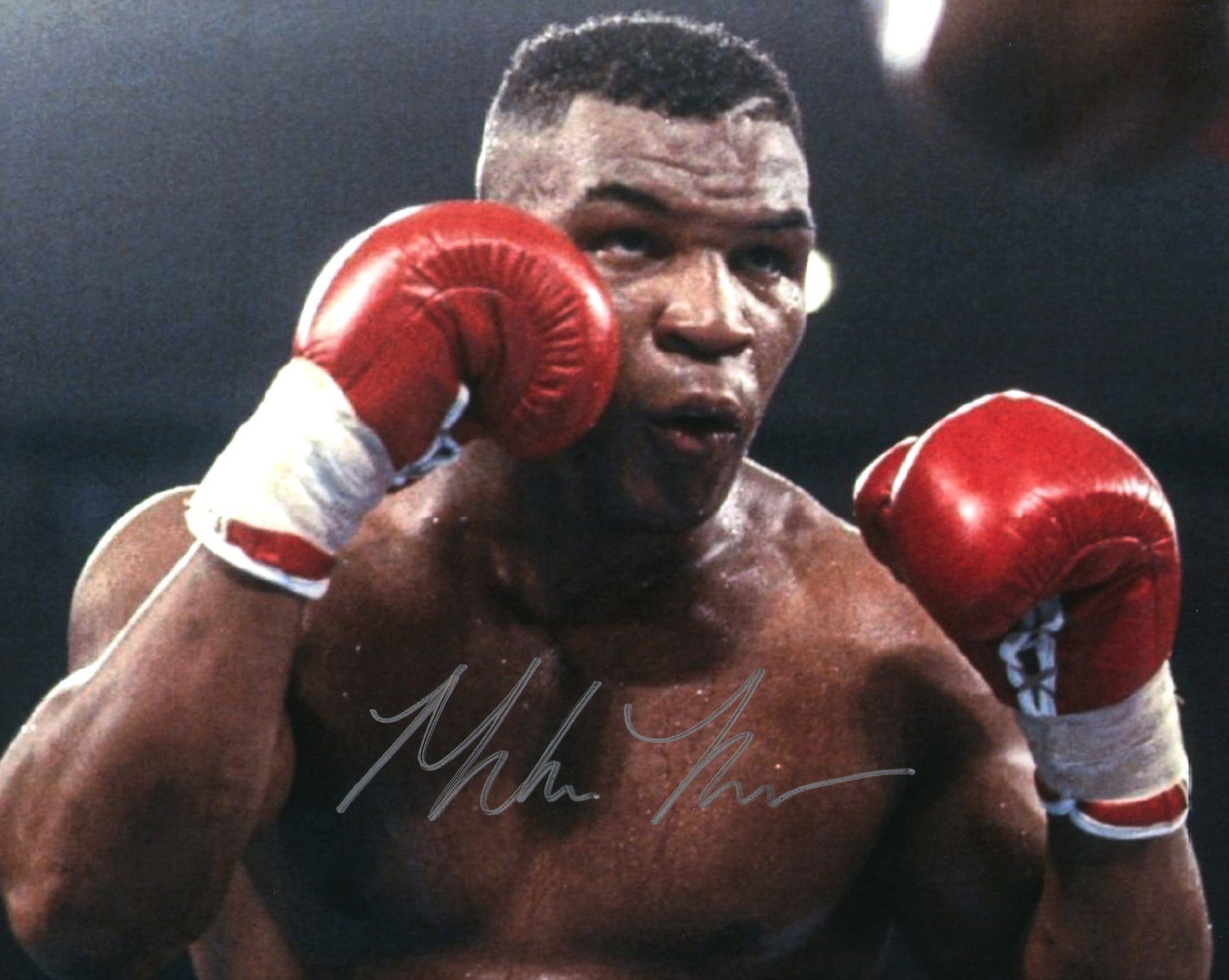 Mike Tyson Signed Posing Print, COA (1 of 2)