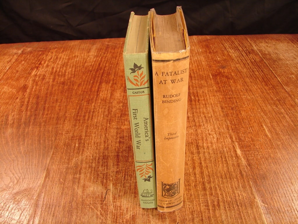 Lot of 2 World War 1 books: Lot of two World War 1 books. 1) A Fatalist at War by Ian D Morrow 2) America's First World War by Henry Castor