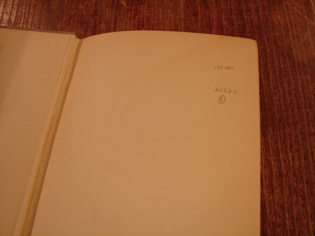 First Edition Horses in The Sky by Larry Barretto - 4