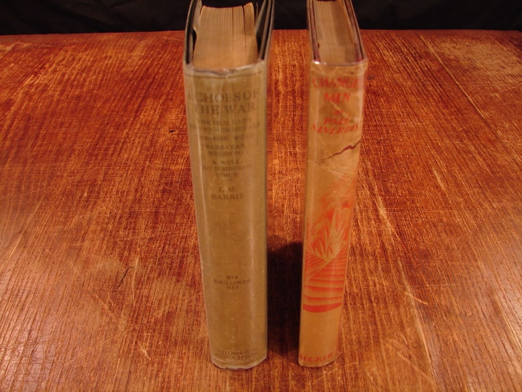 Lot of two WWI books: Lot of two WWI books. 1) Echoes of War by J.M. Barrie Printed in 1919. A collection of four poignant one-act plays exploring the home-front impact of World War I on ordinary British lives. Focused on