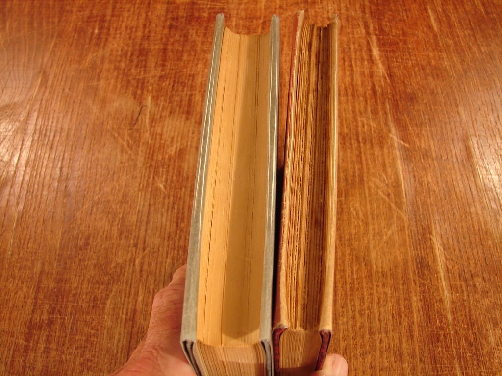 Lot of two WWI books - 3