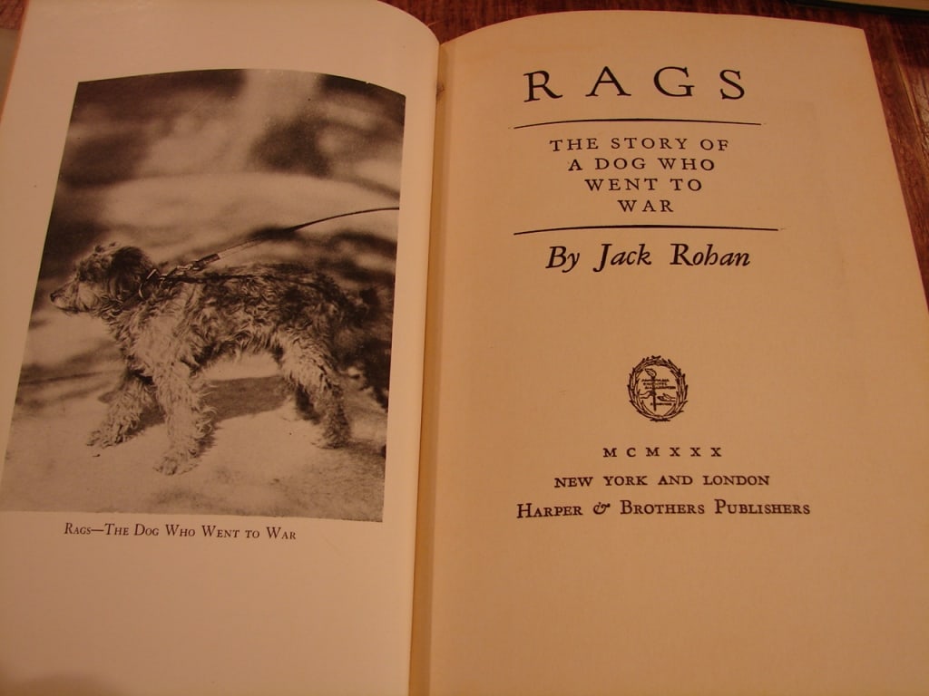 Lot of 3 WWI books from differing subject matter - 4