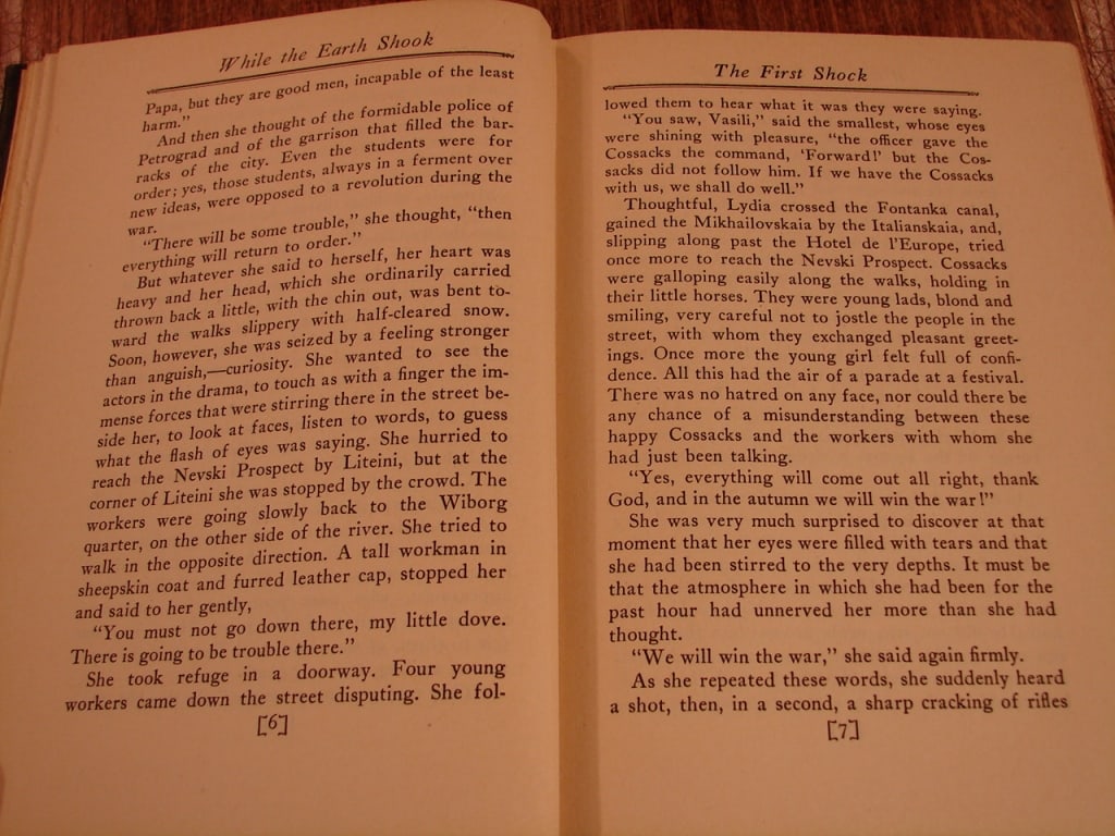 Lot of two WWI books - 6