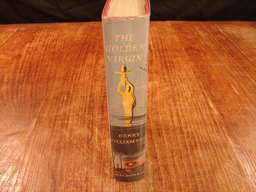 The Golden Virgin by Henry Williamson. 1st Edition: The Golden Virgin by Henry Williamson. First Edition. Macdonal, London .A lovely first edition of Henry William's sixth novel in his series following the life of Phillip Maddison, this novel seeing hi