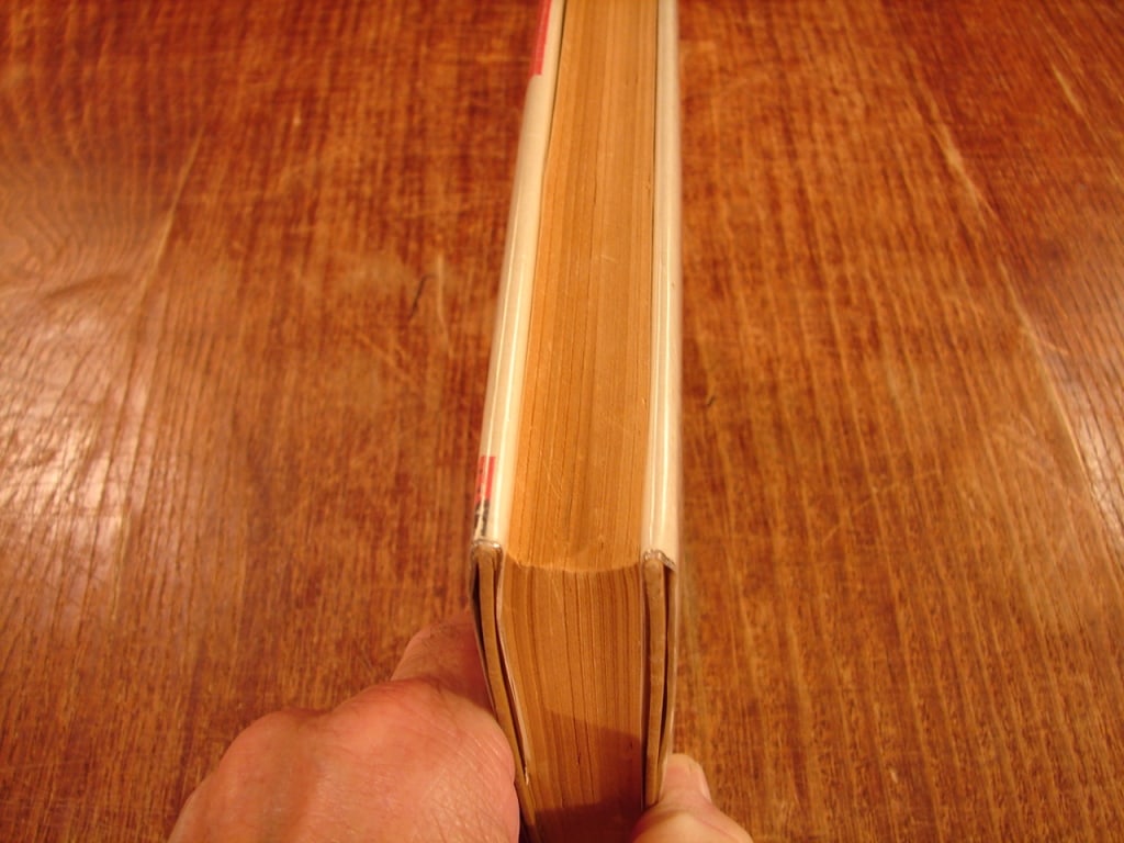 A Maid and a Million Men by James G. Dunton 1928 - 3