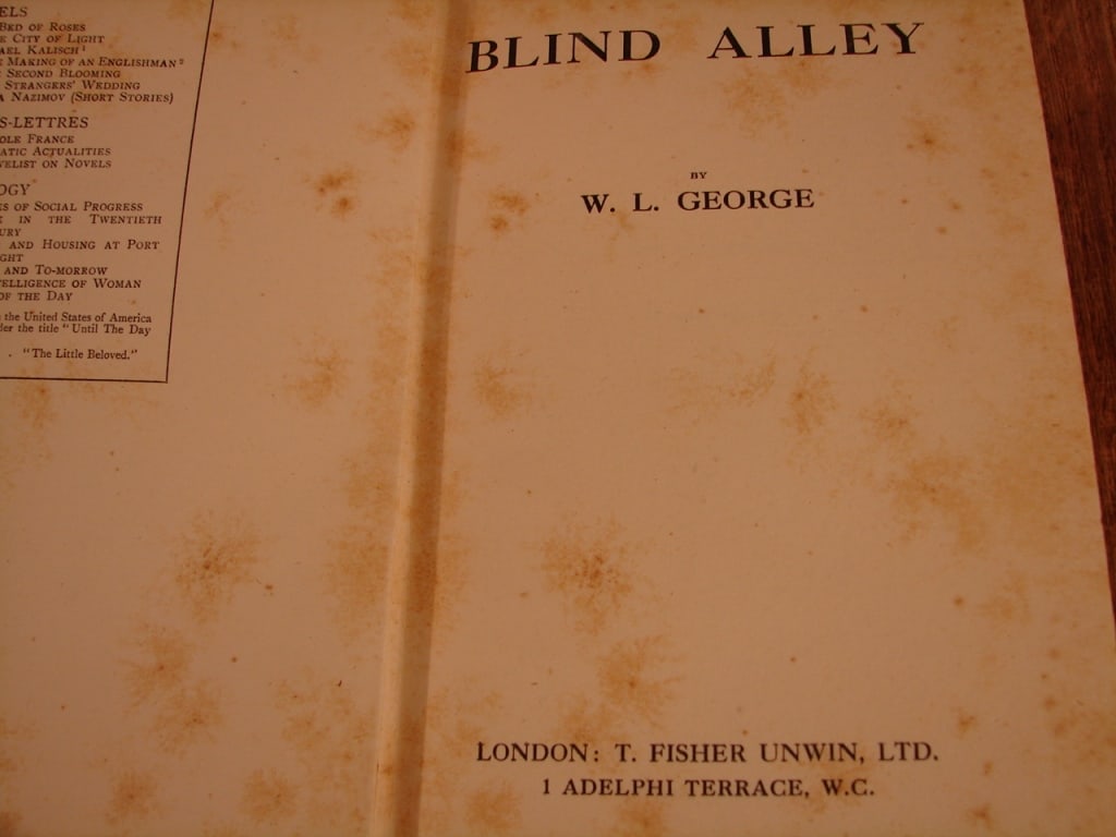 Blind Alley by W.L. George. London 1919 1st print - 5