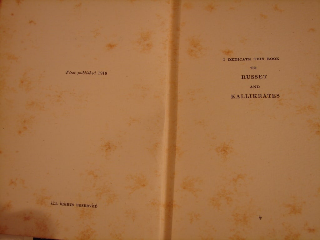 Blind Alley by W.L. George. London 1919 1st print - 6