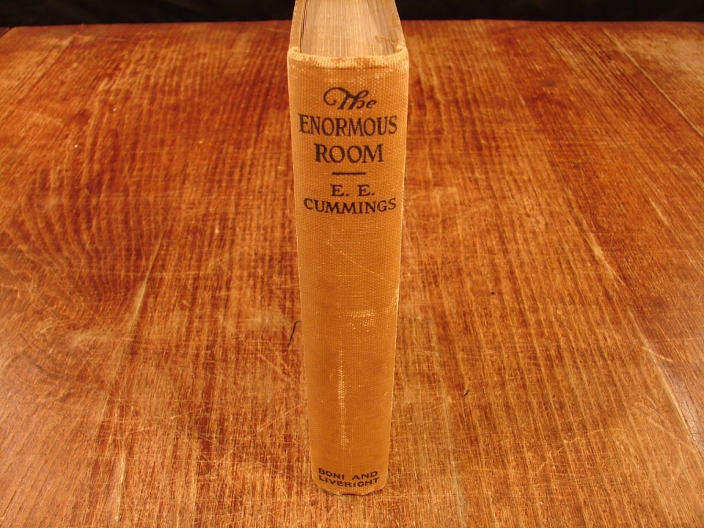 The Enormous Room by E.E. Cummings. First Edition: The Enormous Room by E.E. Cummings. First Edition, Boni & Liveright 1922. An autobiographical novel by E. E. Cummings, detailing his imprisonment in a French detention camp during World War I after