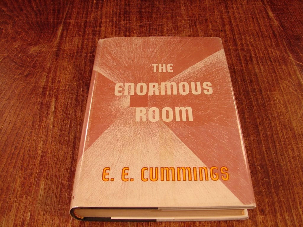 The Enormous Room by E.E Cummings. - 2