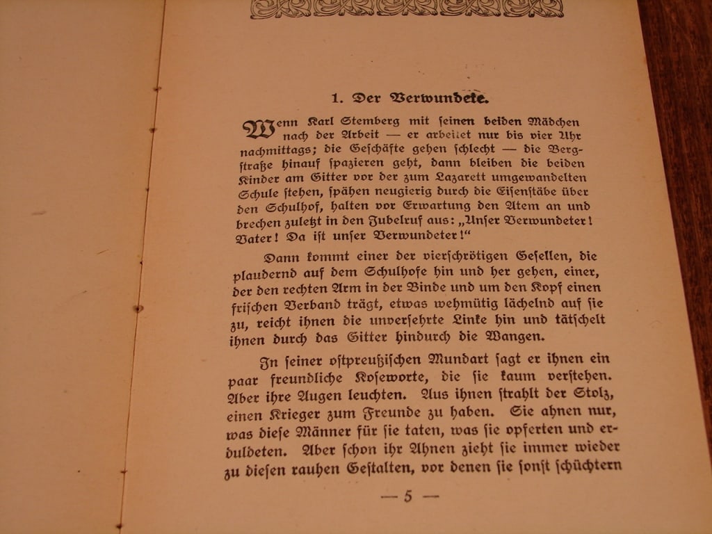 Lot of two World War I novels in German & Danish - 4