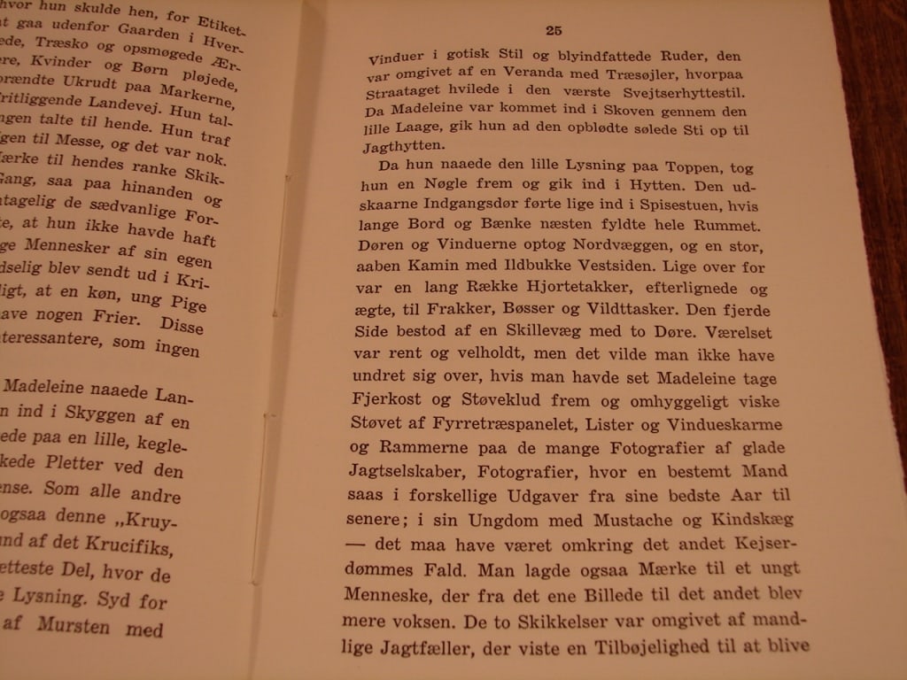 Lot of two World War I novels in German & Danish - 7