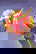 item-210528351=2