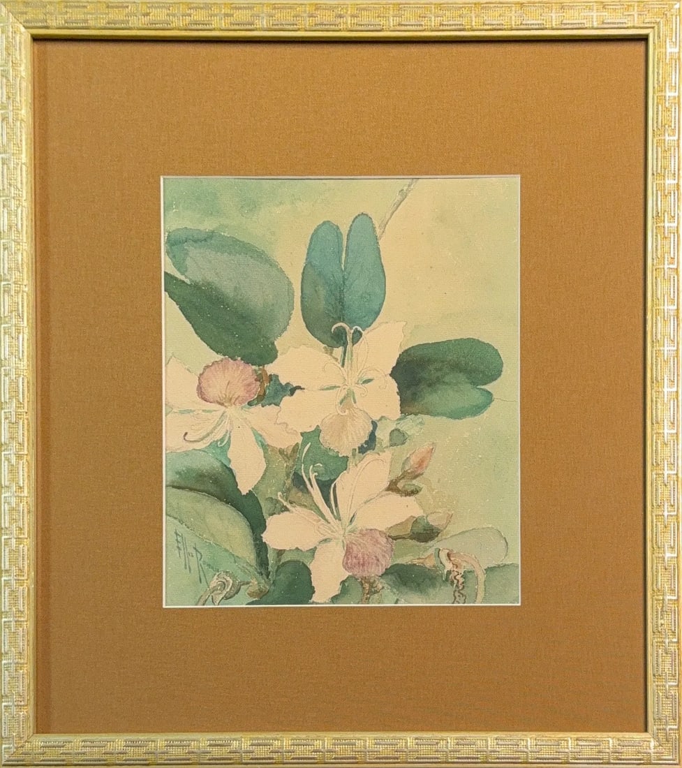 Marian Ellis Rowan, Watercolor on Cardboard, Australian (1848 - 1922): KEYWORDS: Botanical illustration, White flowers (likely Apple Blossom or Bauhinia), Large, two-lobed green leaves, Foliage, Signed artwork, Australian naturalist/explorer/artistArtist. Naturalist and
