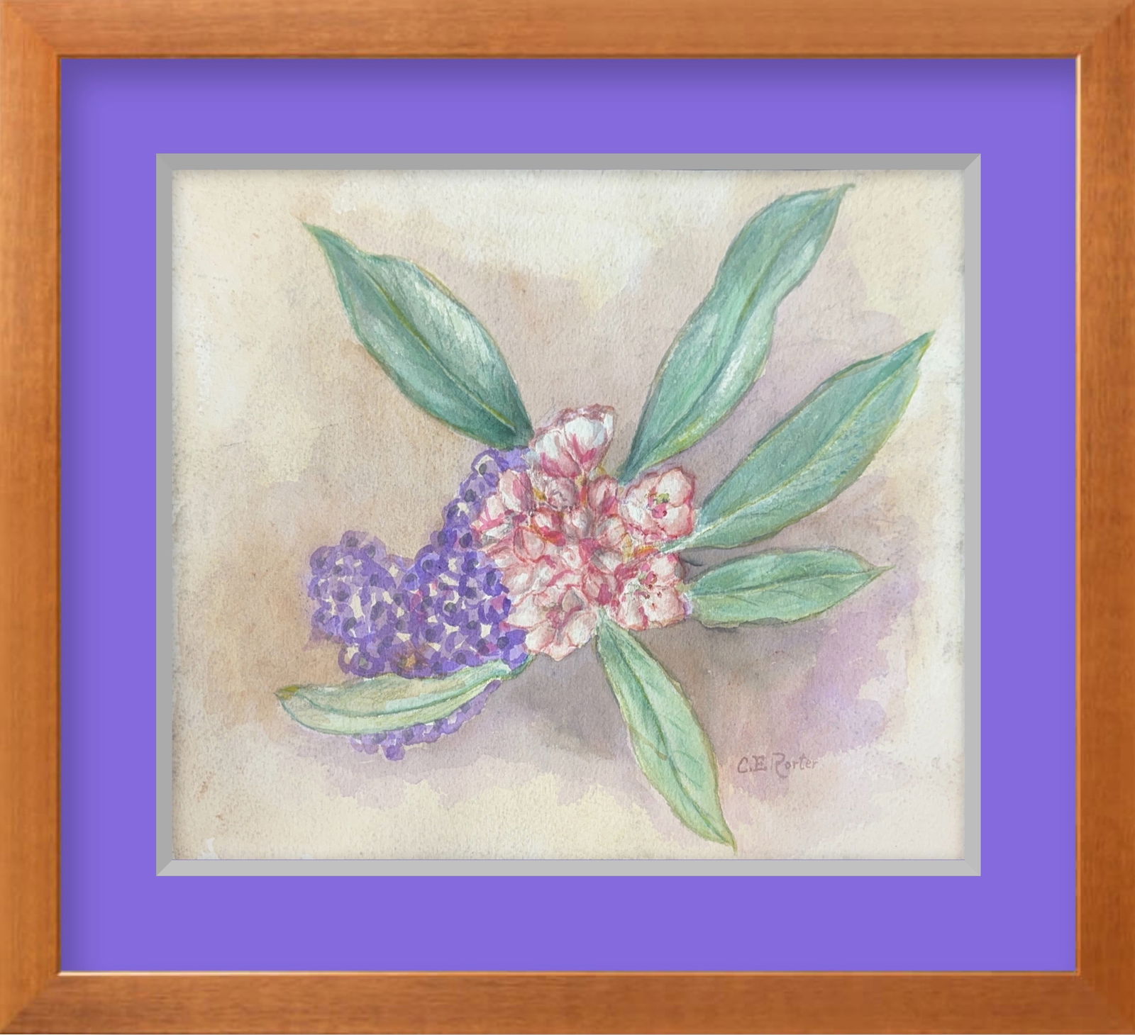 Charles Porter, Watercolor on Paper, American Painter (1847 - 1923): KEYWORDS: Watercolor, Still life, Mountain laurel, Rhododendron, Floral, Botanical, Pink blossoms, Purple lilacs, Connecticut State Flower, 19th-century, American art, Naturalistic. Born: 1847 - Hartf