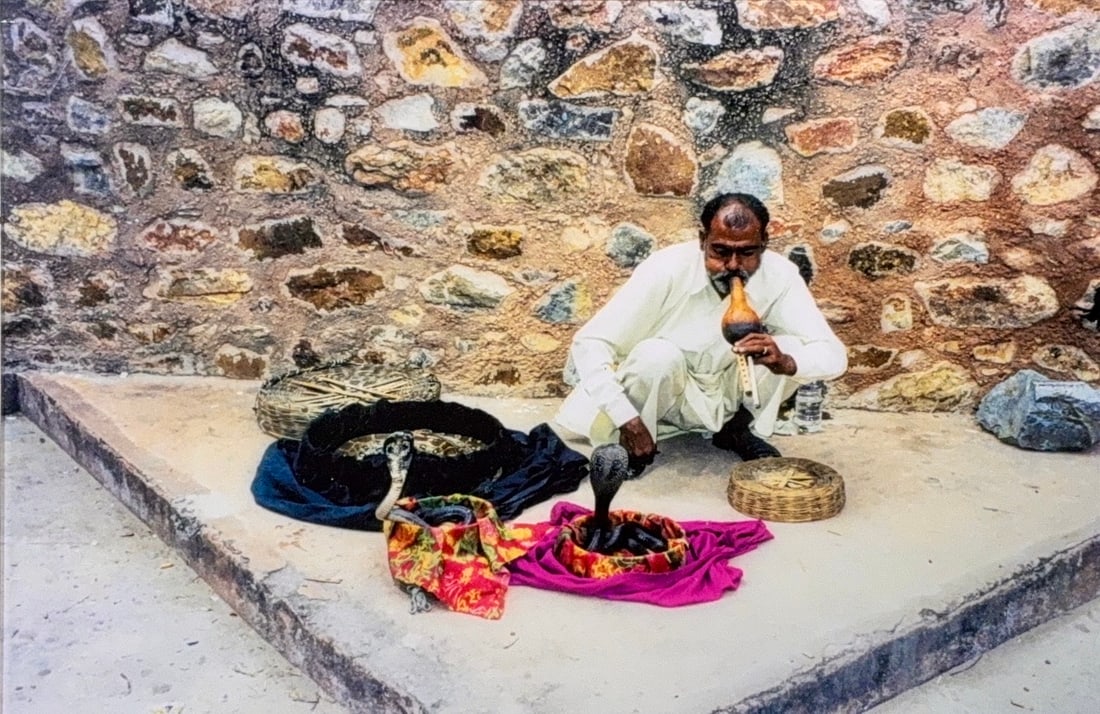 Art of Snake Charming, Photograph Art: The image portrays the traditional South Asian art of snake charming , a practice with deep historical roots in countries like India and Pakistan. The central figure is using a traditional wind instru
