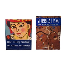 French Painters & Surrealism Art Book Lot