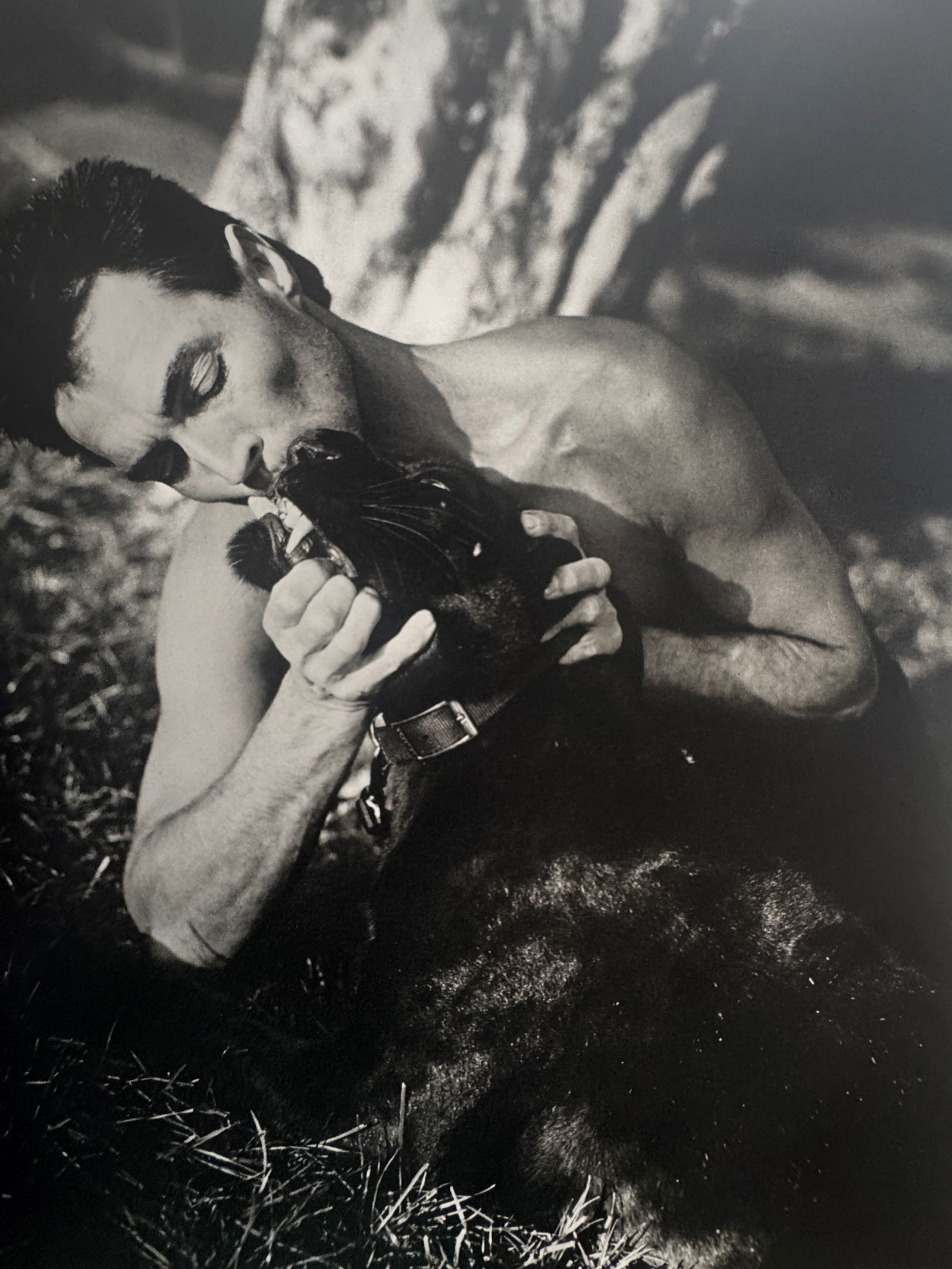 Bruce Weber (American, b. 1946): Bruce Weber (American, b. 1946). Male with Dog Print. Printed in 1988. 11.25 x 8.60 inches. Please be aware that all lots in our auctions are sold "AS IS," in accordance with the Terms & Conditions of