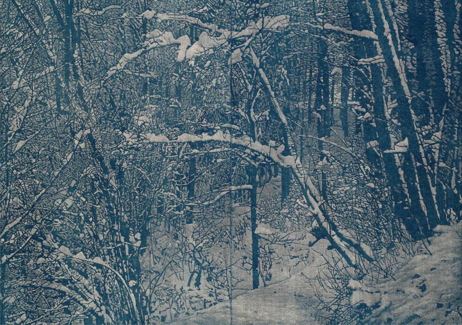 Franz Gertsch (Swiss, 1930-2022): Franz Gertsch (Swiss, 1930-2022). Winter, "2015" Print. Please be aware that all lots in our auctions are sold "AS IS," in accordance with the Terms & Conditions of the Auction. Condition descriptions