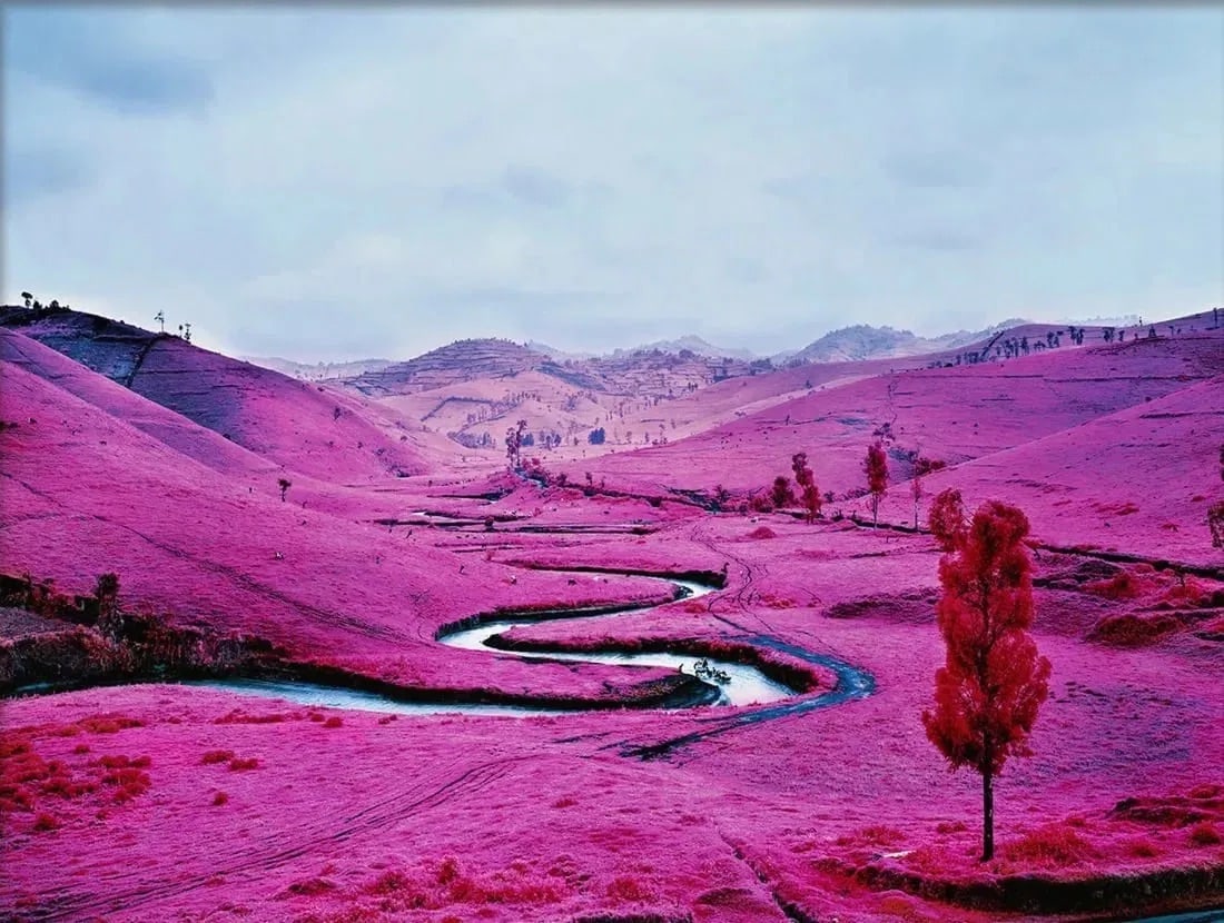 Richard Mosse (Irish, b. 1980): Richard Mosse (Irish, b. 1980). The Enclave, "2012" Photo Print. Please be aware that all lots in our auctions are sold "AS IS," in accordance with the Terms & Conditions of the Auction. All "dates" i