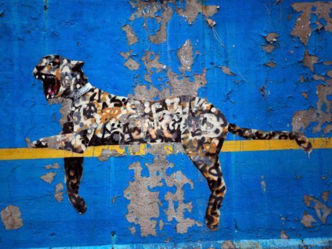 Banksy: Banksy Zoo Print. 28.00 x 37.00 inches. Please be aware that all lots in our auctions are sold "AS IS," in accordance with the Terms & Conditions of the Auction. All "dates" inside quotations ("") are