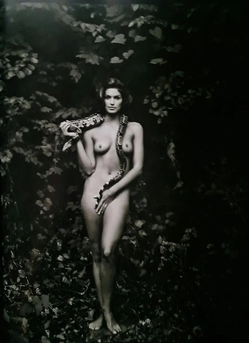 Annie Leibovitz (American, b. 1949) Cindy Crawford Print: Annie Leibovitz (American, b. 1949) Cindy Crawford, Brookville, New York, "1993". 10.50 x 14.00 inches. Please be aware that all lots in our auctions are sold "AS IS," in accordance with the Terms & C