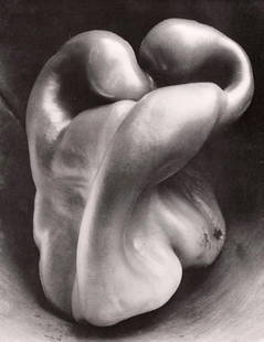 Edward Weston (American, 1886-1958) Print: Edward Weston (American, 1886-1958) Print. Pepper, No. 30, "1930". Printed in 1975. 5.50 x 7.00 inches. Please be aware that all lots in our auctions are sold "AS IS," in accordance with the Terms & C